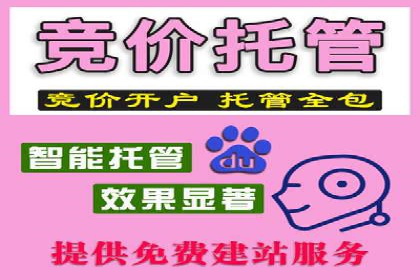 SEM托管服务，成功案例深度分析